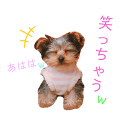 CHISA_20201015031445