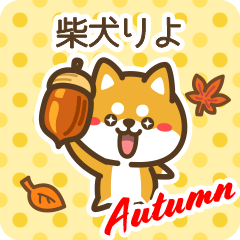 Shiba Riyo in Autumn