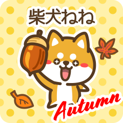 Shiba Nene in Autumn