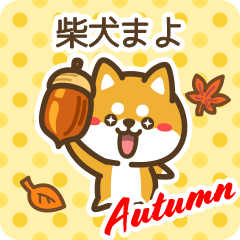 Shiba Mayo in Autumn