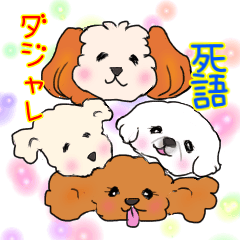 Toy poodles and Shih-tzu talk jokes