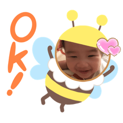 大家庭庭
