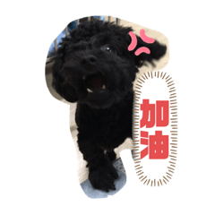 歐弟特輯