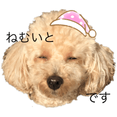 さいとうしおり かわいい熊本弁 Line スタンプ Line Store さいとうしおり かわいい熊本弁 Line スタンプ Line Store