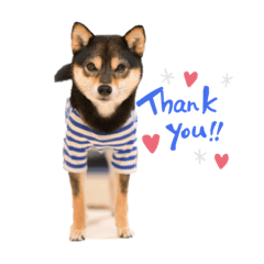 akiko_20201014214805