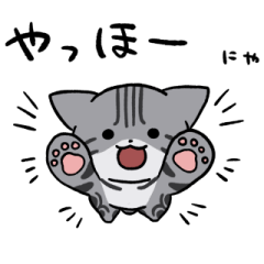 American shorthair sticker:3 2