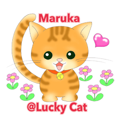 maruka@lucky cat
