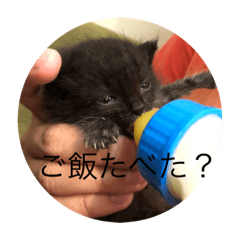 イズモ