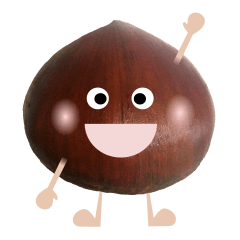 Marron of sweet chestnut