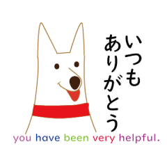 White dog-mix dog-Shiba inu