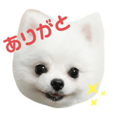 kaho_2020101515584