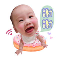 小布丁初登場❤️