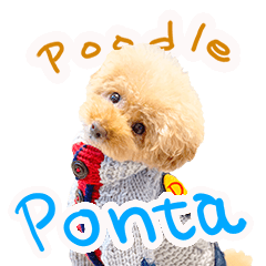 I'm Ponchan at Poodle