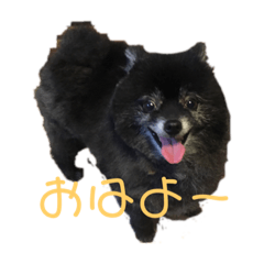 KUROSUKE_20201015165851