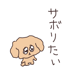 Toy poodle always feel like skipping