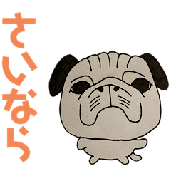 Graffiti pug