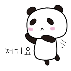 Cute Korean Panda