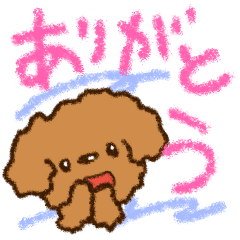 Crayon toy poodle