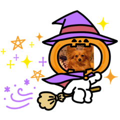 yukari_20201015223239