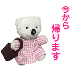 polar bear SHIROchan -FAMILY-