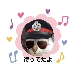 Sharon_20201015232727