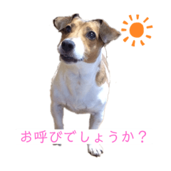 Kaiware_20201016001513