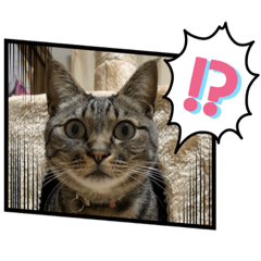 Asako_20201016003315