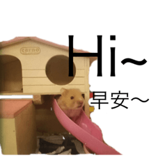 胡鬧鬧的生活寫照