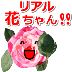 Anime. flower.picture.