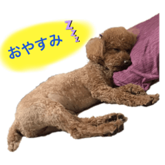 yokko_20201016024140