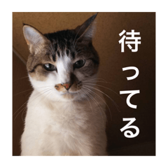 mori_20201016005949