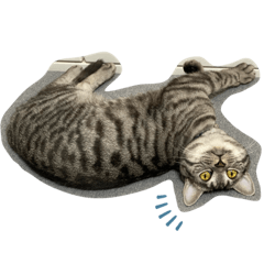 HIKARI_20201016004119