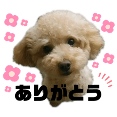 rina_20201016012417
