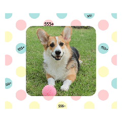 melon_20201015174841