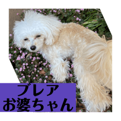omo_20201016031247