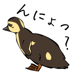 Oriental Spot-billed Ducks