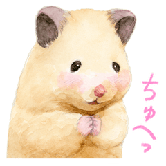 SUKEROKU's Daily Life 5