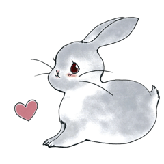 Gray rabbit Popo