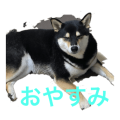 Suzu_20201015193512