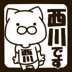 NISHIKAWA-cat