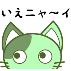 Green cat JOJO