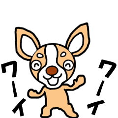 Natural movement? Cute Chihuahuas
