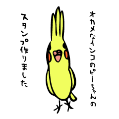 funny bird "pi-chan".