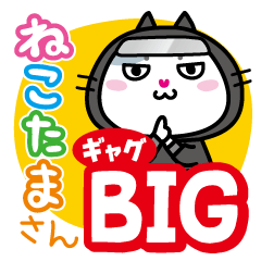 NECOTAMASAN -Gag Super BIG-