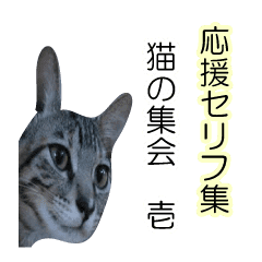 応援セリフ集 猫の集会 壱 Line スタンプ Line Store