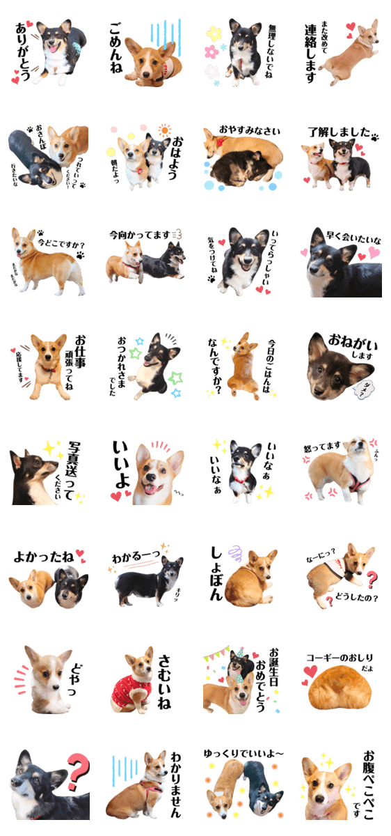 コーギーのりんちゃんとれおくん Lineクリエイターズスタンプ Stamplist