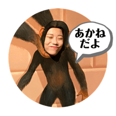 marumaru_20201016133954