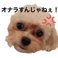 omo_20201016163632