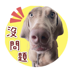 大摳錢來囉