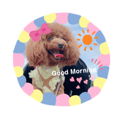 alice_20201016145653